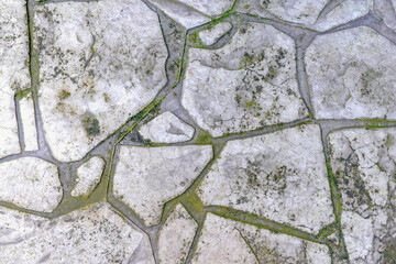 Dirty old crazy paving stamped concrete floor with green moss stains and black mold. Grunge and...