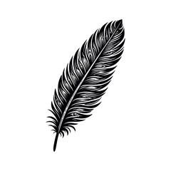 Bird Feather. Feathers vector set in a flat style silhouette