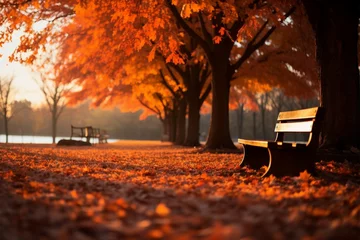 Möbelaufkleber Natures canvas a park adorned with vivid autumnal orange hues © Muhammad Ishaq