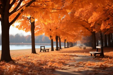 Tuinposter Vibrant orange leaves blanket serene park in picturesque autumn scene © Muhammad Ishaq