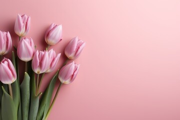 Beautiful aerial shot of colorful tulips on a soft pink background with ample space for text.