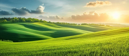 Foto op Aluminium The sun is descending, casting its warm golden sunlight over a lush green field with rolling hills in the background. © AkuAku