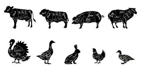 Butcher diagrams cutting lines of different parts silhouettes of domestic farm animals with cuts on different parts of the body vector