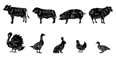 Fotobehang Butcher diagrams cutting lines of different parts silhouettes of domestic farm animals with cuts on different parts of the body vector © Rick Cranches
