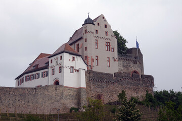 Burg Alzenau