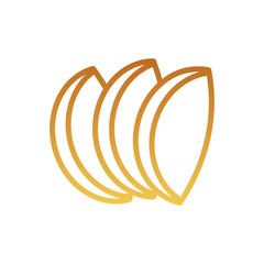 Fototapeta premium pork