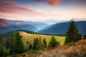 Panoramic view of the gorgeous mountain landscape at dawn. Location place Carpathian National Park, Ukraine.