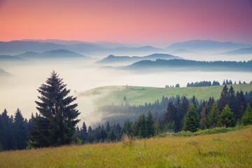 A tranquility view of the mountainous area in the haze. Carpathian National Park, Ukraine, Europe.