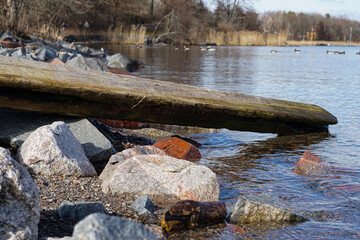 close up of driftwood on the beach