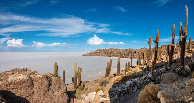 Hiking on Incahuasi Island among giant cacti in the Salar de Uyuni, the world's largest salt flat, Bolivian altiplano