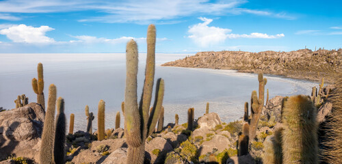 Isla Incahuasi (Inkawasi, Inka Wasii, Inca house) a surreal island in the middle of the Salar de Uyuni, the world's largest salt flat, Bolivian altiplano