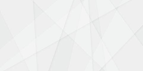 Abstract white and gray line background design. abstract white and grey on light silver background modern design. Low poly vector illustration. triangle pattern gradient background.