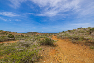 Breathtaking view of desert landscape in Arikok National Park on the island of Aruba, with a walking trail winding through.