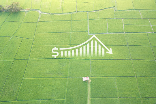 Land, landscape or green field in aerial view. Include bar chart or graph, drop down arrow. Real estate or property with concept for sale price, land value to decrease, reduction or negative trend.
