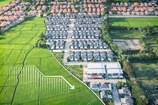 Land, landscape or green field in aerial view. Include house building, bar chart or graph, drop down arrow. Real estate or property with concept for sale price, land value to decrease, reduction, low.