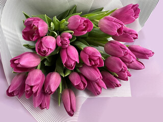 Spring flowers on a pink background, tulips. Bouquet of pink tulips in paper packaging.