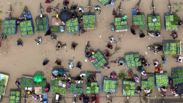Vibrant colors and bustling activity of Bangladesh's wholesale mango market from an aerial perspective. Witness the trade and commerce of fresh, ripe tropical fruit in this bustling marketplace