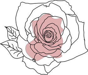 Boho Flower Line Art Stock Photo