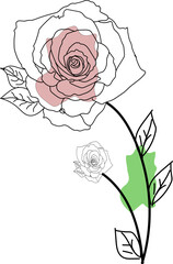 Boho Flower Line Art Stock Photo