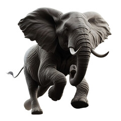big african elephant Running fast forward, alone, transparent background