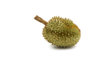 durian isolated on white background