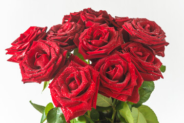 Bouquet of red rose flowers with waterdrops on a white background