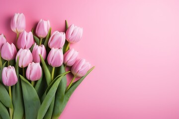 Bouquet of tulips on a pink background