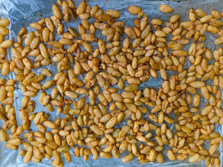 a bunch of star fruit being dried in the sun, manufacturing process (star fruit sour sauce)