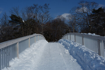 Bridge filled with white after falling snow.