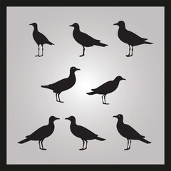 Fototapeta premium Gull bird silhouette set