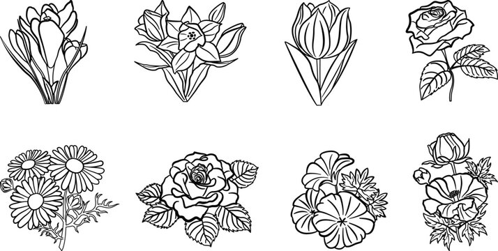 Set of Flowers for Coloring. Vector Illustration of Crocus, Rose, Buttercup, Narcissus, Tulip, Chamomile and Geranium
