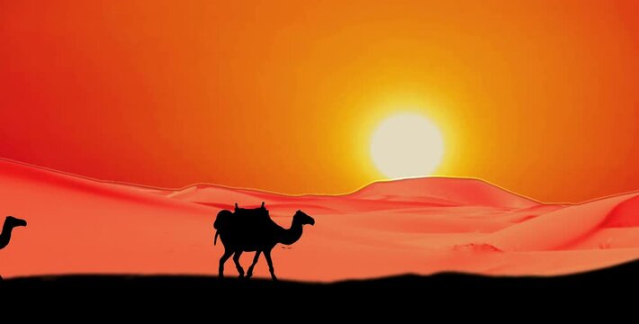 Silhouette of a camel walking in the desert against the backdrop of the sunrise