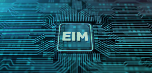 EIM Enterprise Information management business and technology concept illustration.