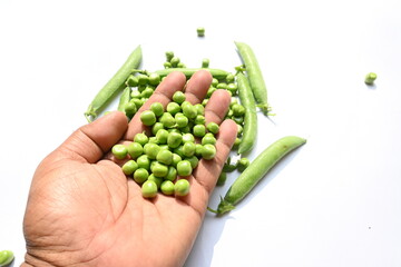 Fresh green pea on white background. There is a lot of vitamins  and Minerals in it. The pea is most commonly the small spherical seed or the seed. Popular vegetable of all over world. 