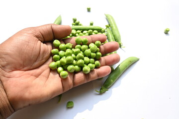 Fresh green pea on white background. There is a lot of vitamins  and Minerals in it. The pea is most commonly the small spherical seed or the seed. Popular vegetable of all over world. 