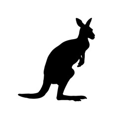 kangaroo silhouette - vector illustration
