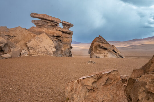 Bolivian altiplano