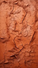 Dry cracked earth background. Cracked soil texture