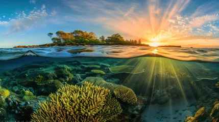 Rollo Bereich Beautiful reef and nice sunset, clear tropical sea