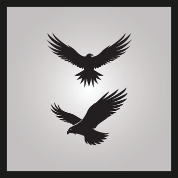 Hawk bird silhouette set