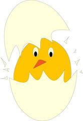 Chicken in Broken Egg Shell