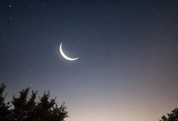 Obraz na płótnie Canvas crescent moon with sky full of stars in minimal style