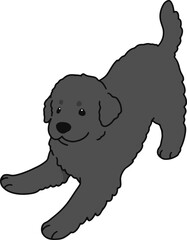 Simple and cute playful Newfoundland illustration