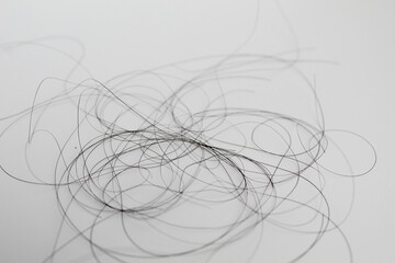 Strands of black hair, isolated on white background. Hair loss or hair falling out or hair breakage