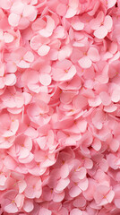 Pink hydrangea petals background, top view