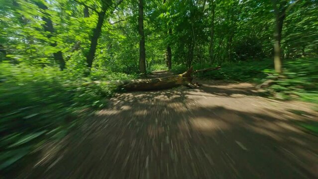 fpv drone flying low and fast on a forest path on a sunny day in the UK