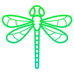 dragonfly