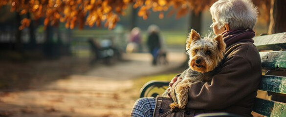 A tender scene of an elderly lady and her Yorkie sharing a moment in the autumn sun, concept:...