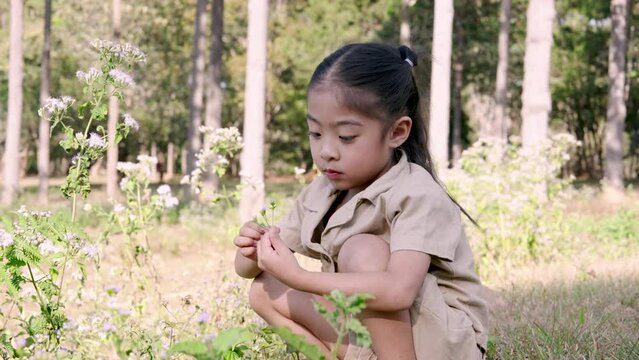 Asian Young girl in khaki dress sits in meadow, inspecting small flower, lost in thought, surrounded by tall trees. Child in outdoor setting focuses on flora with curiosity, displaying exploration