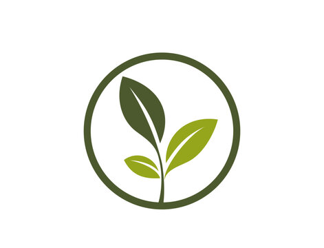 eco friendly icon. sprout in a circle. organic and bio symbol. vector image in flat design